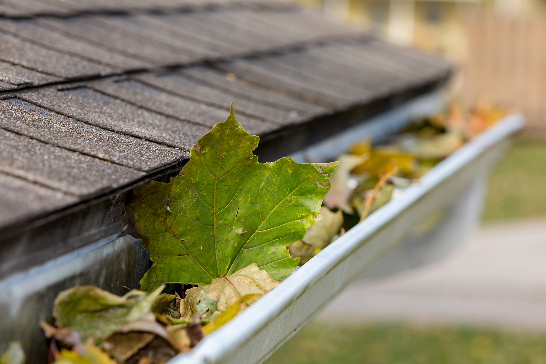 Home Exterior with Clean Gutters