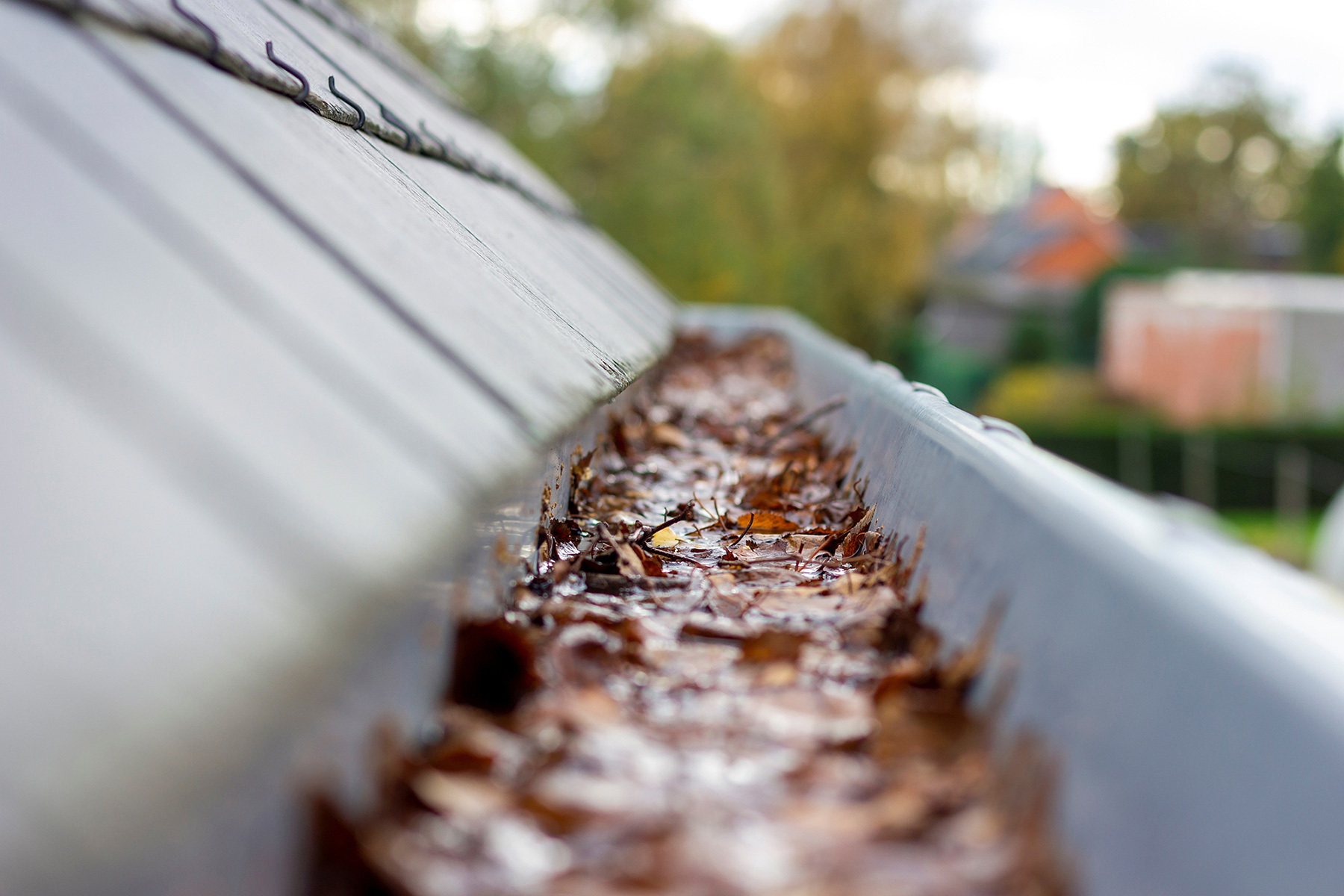 Top 5 Signs Your Gutters Need Cleaning Right Now