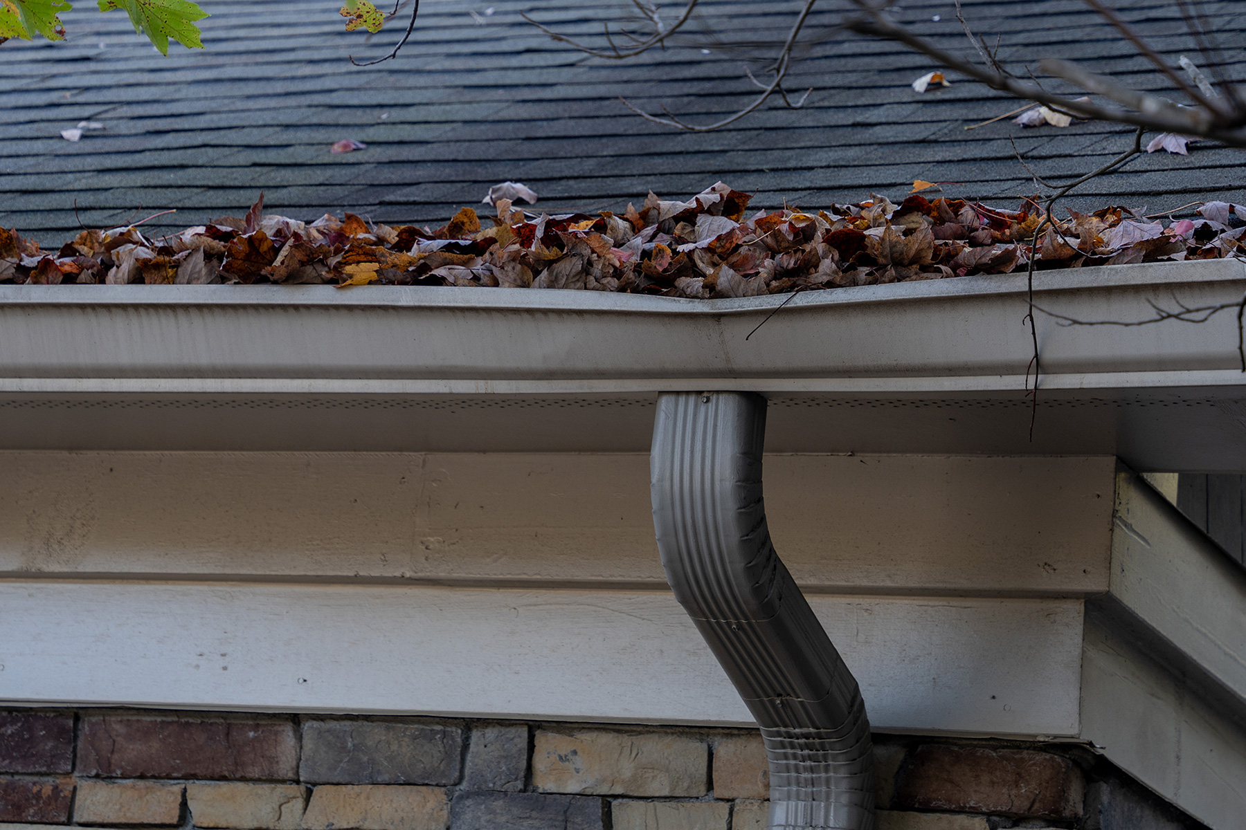 The Hidden Costs of Neglecting Your Gutters: What Every Homeowner Should Know