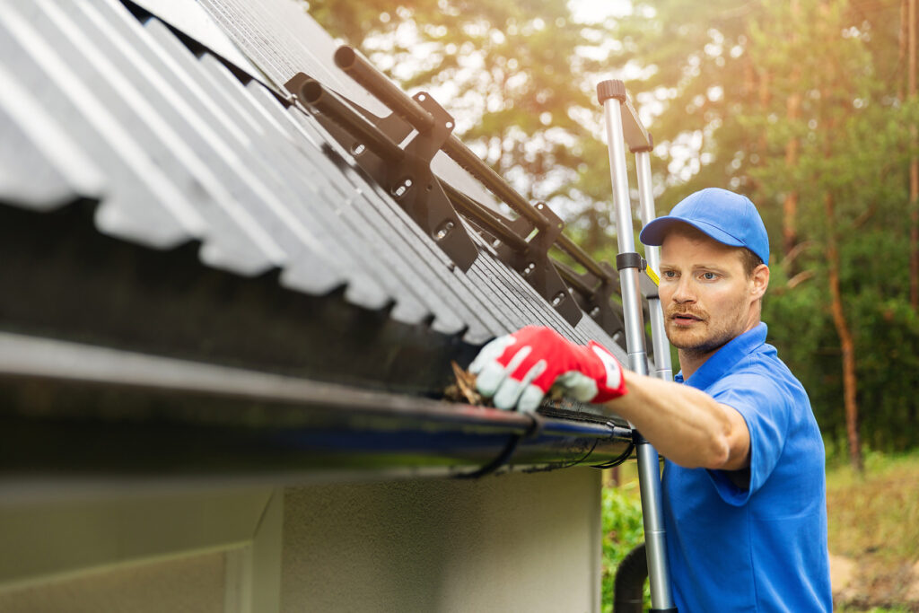 Gutter Cleaning Service in Baltimore